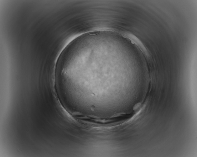 X0000088191244200705221656