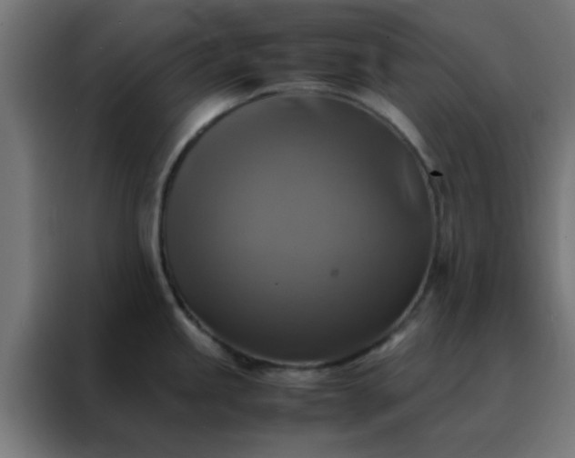 X0000088191245200705221656