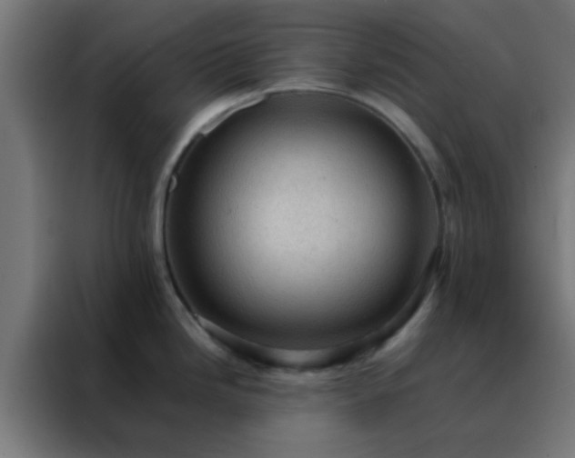 X0000088191246200705221656