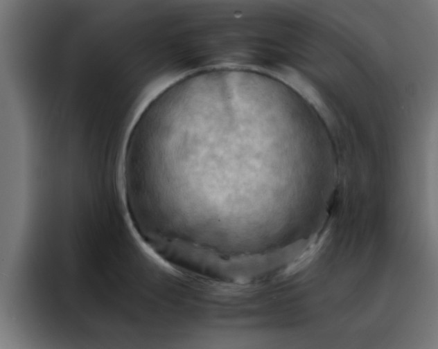 X0000088191247200705221656