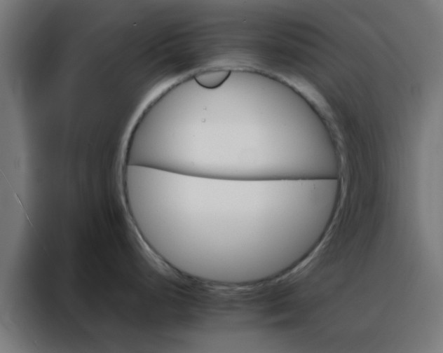 X0000088191248200705221656