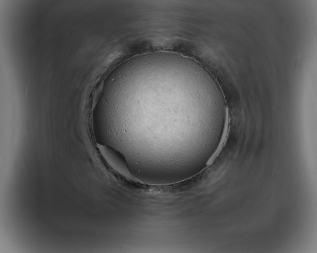 X0000088191249200705221655