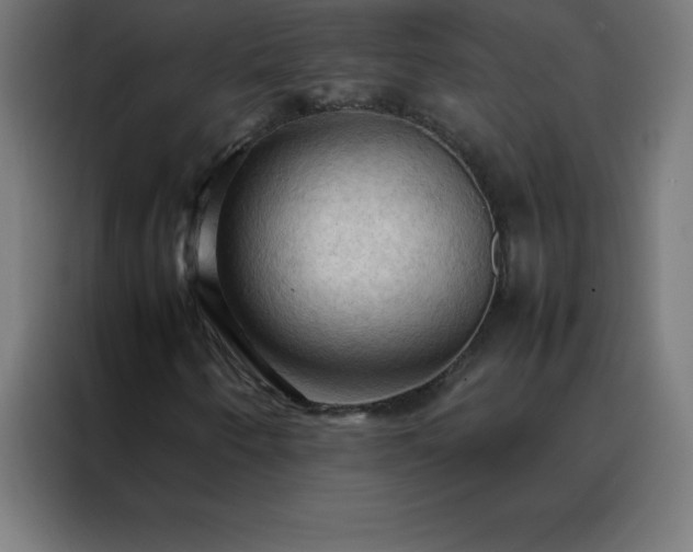 X0000088191250200705221655