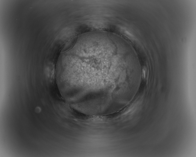 X0000088191251200705221655