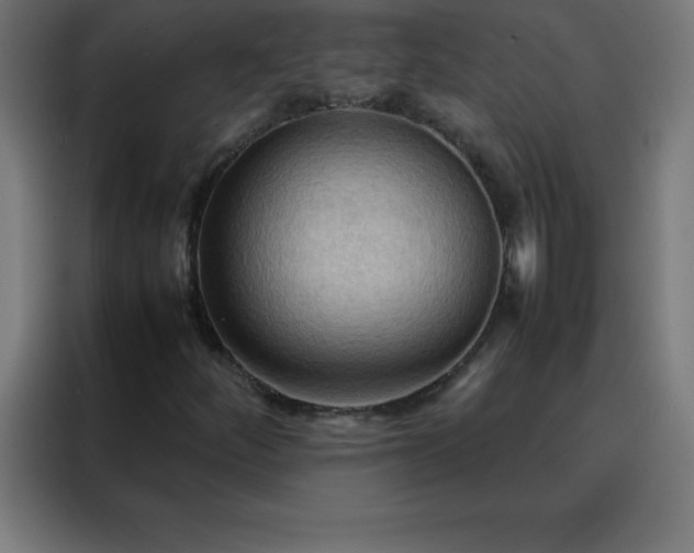 X0000088191252200705221655
