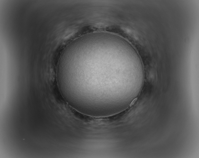 X0000088191253200705221655