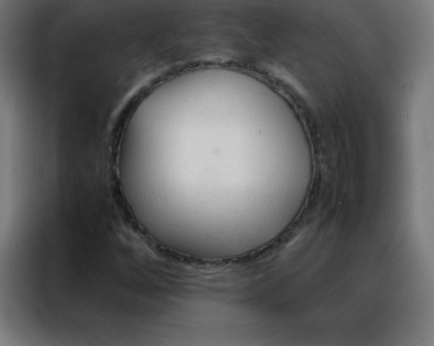 X0000088191256200705221655