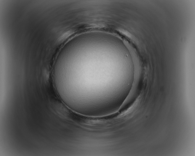 X0000088191257200705221655