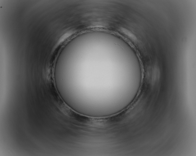 X0000088191258200705221655
