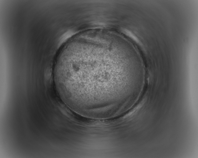 X0000088191259200705221655