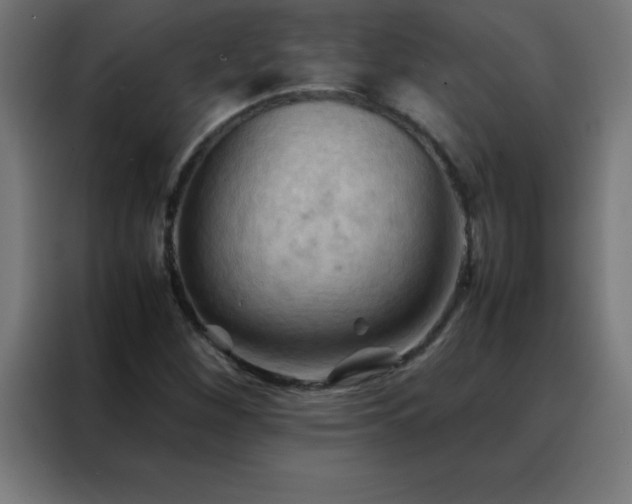 X0000088191260200705221655