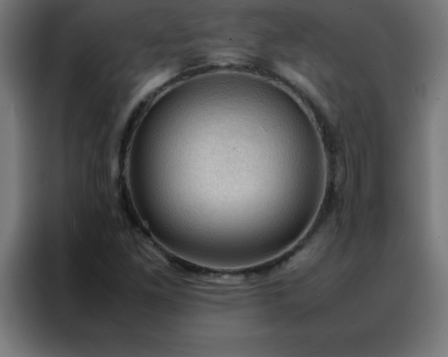 X0000088191261200705221655