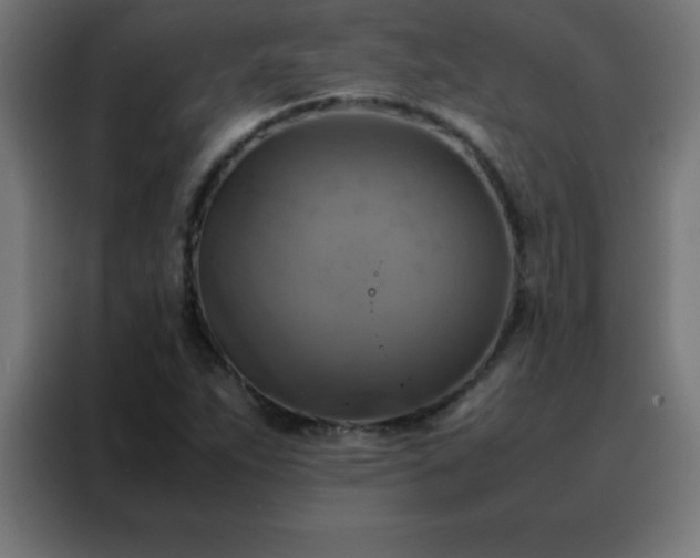 X0000088191263200705221655