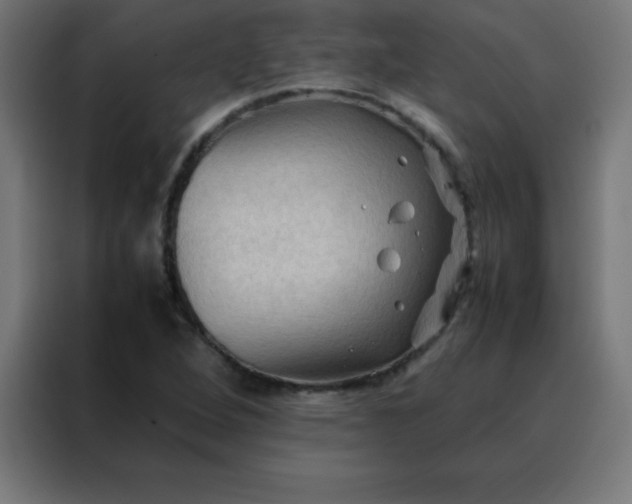 X0000088191264200705221655