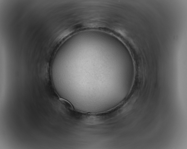 X0000088191265200705221655