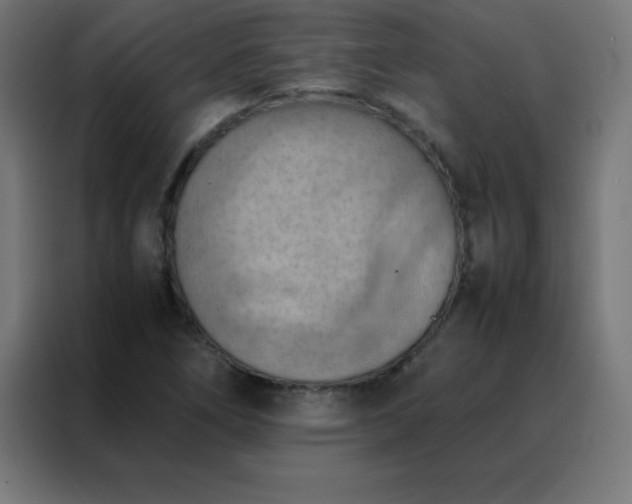 X0000088191266200705221655