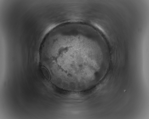 X0000088191267200705221655