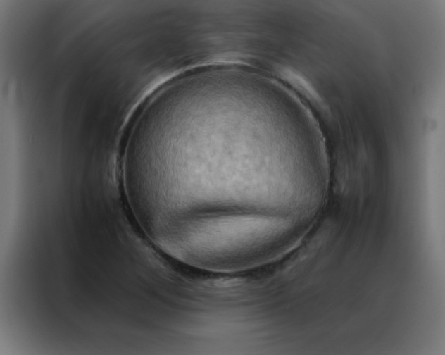 X0000088191268200705221655
