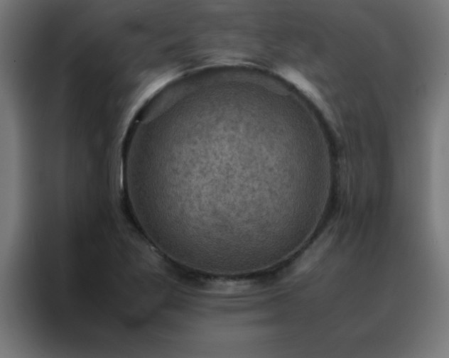 X0000088191269200705221655
