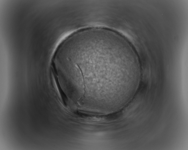 X0000088191271200705221655