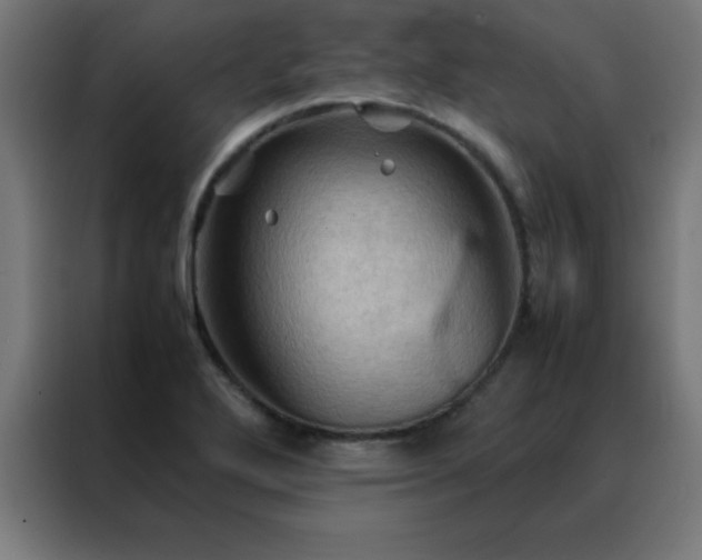X0000088191272200705221655