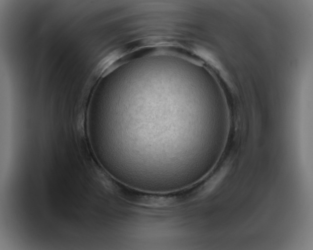 X0000088191273200705221655