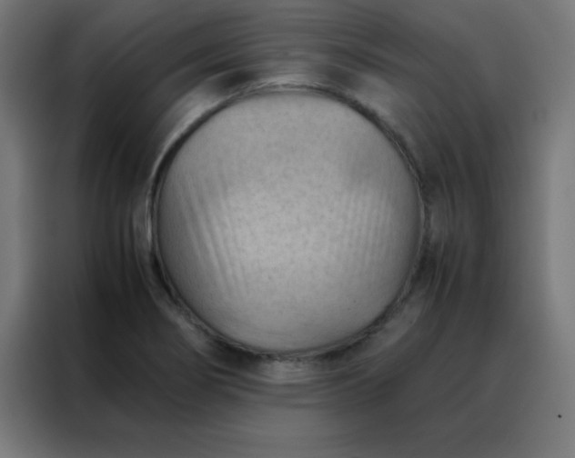 X0000088191274200705221655