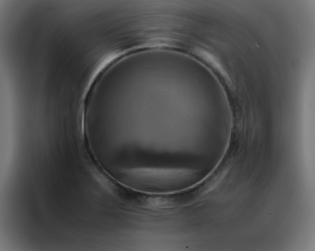 X0000088191275200705221655