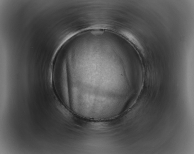X0000088191276200705221655