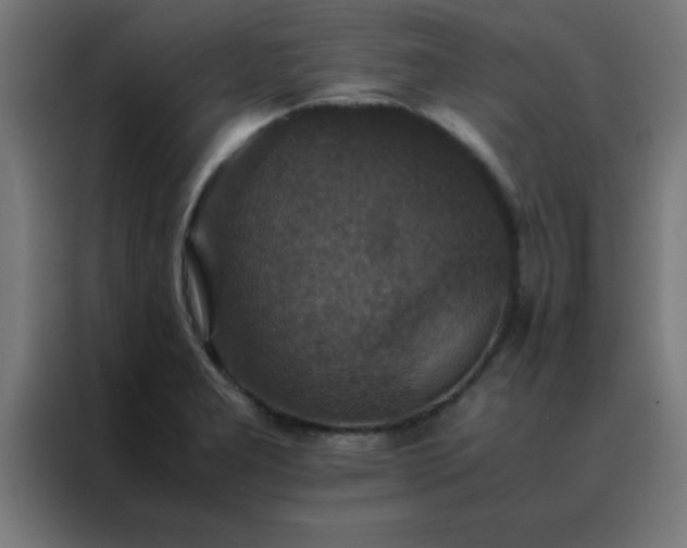 X0000088191277200705221655