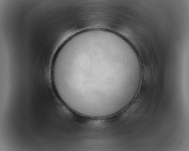 X0000088191278200705221655