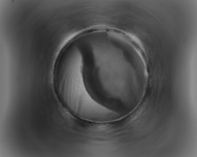 X0000088191279200705221655