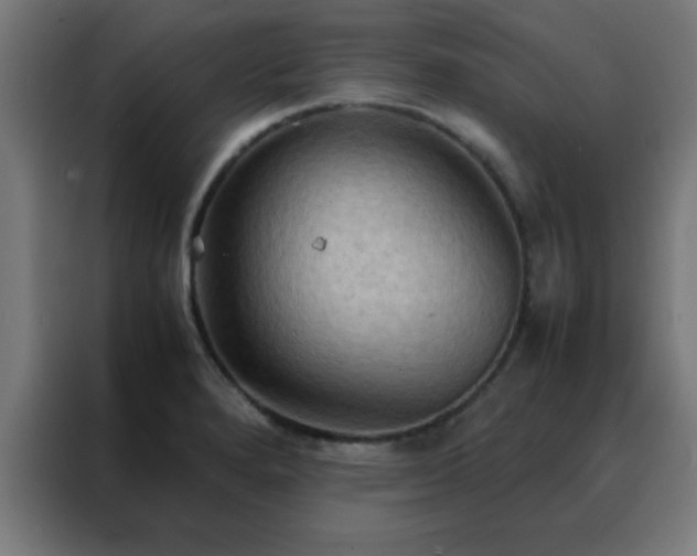 X0000088191280200705221655