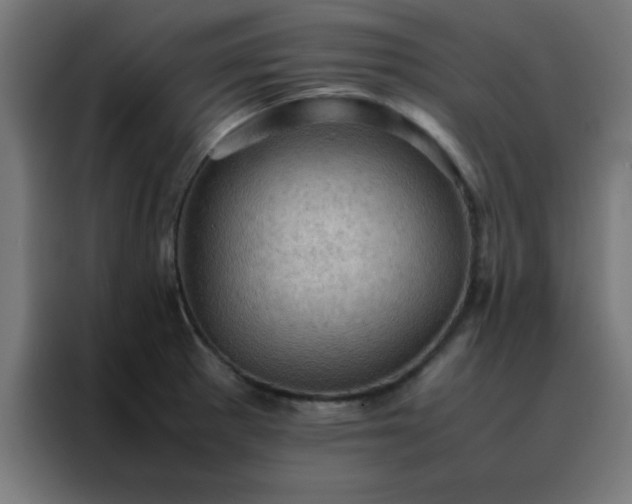 X0000088191281200705221655