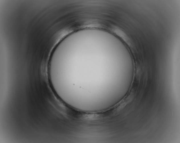 X0000088191282200705221655