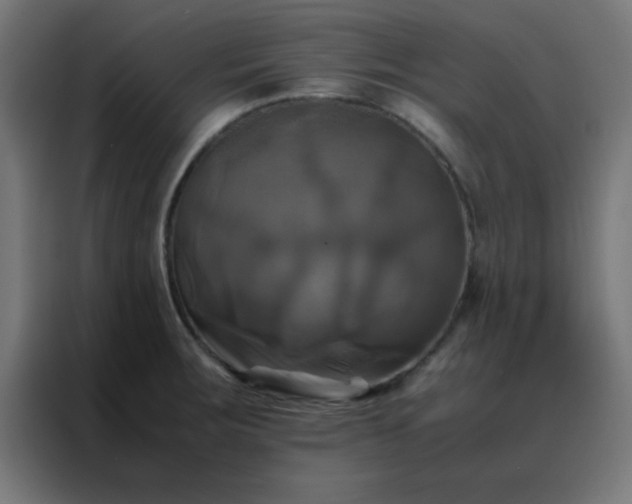 X0000088191283200705221655