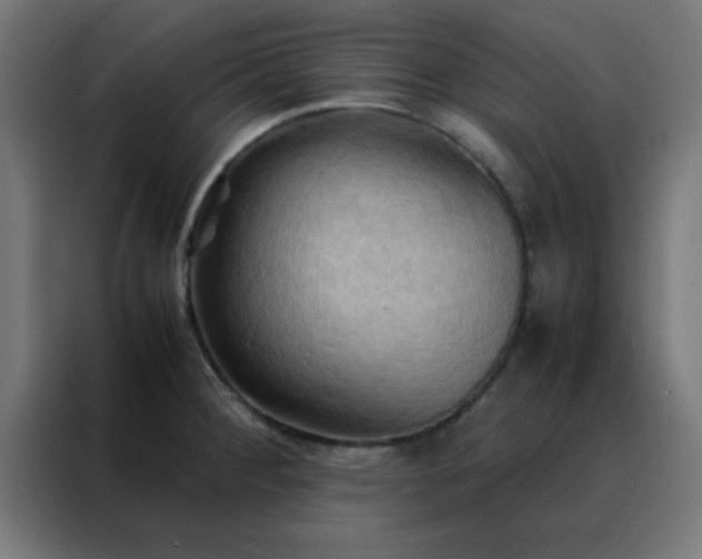 X0000088191284200705221655