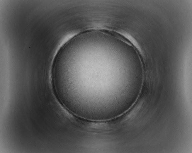 X0000088191285200705221655
