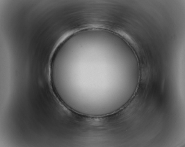 X0000088191286200705221655