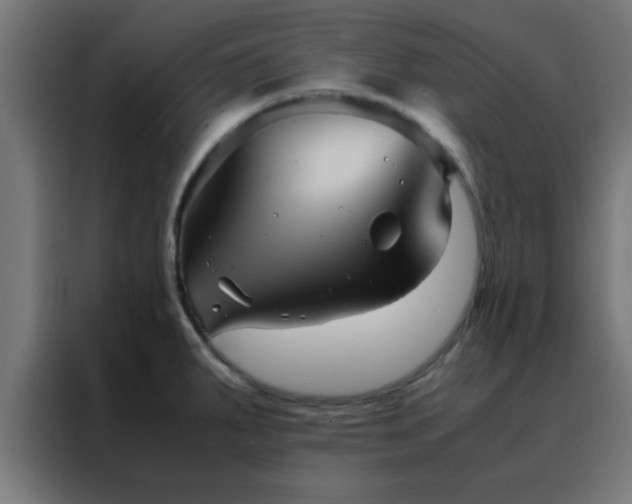 X0000088191287200705221655
