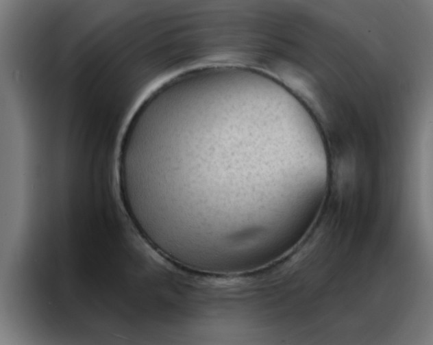 X0000088191288200705221655