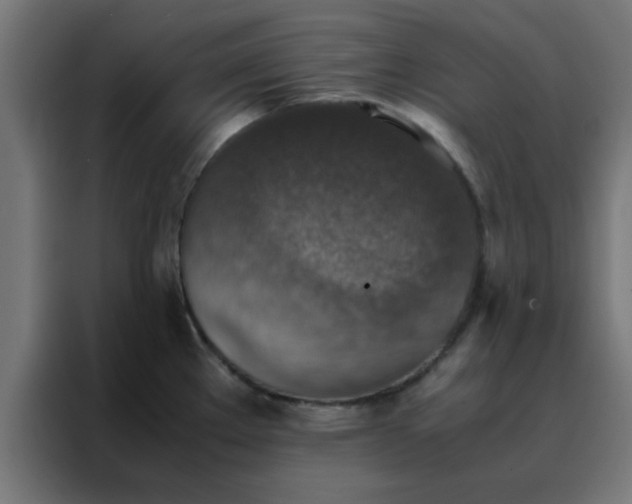 X0000088191289200705221655