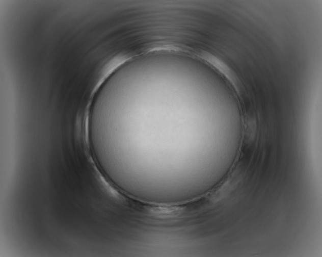 X0000088191290200705221655