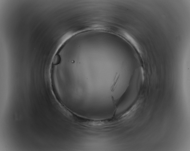 X0000088191291200705221655