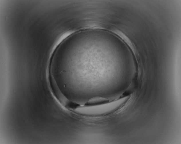 X0000088191293200705221655