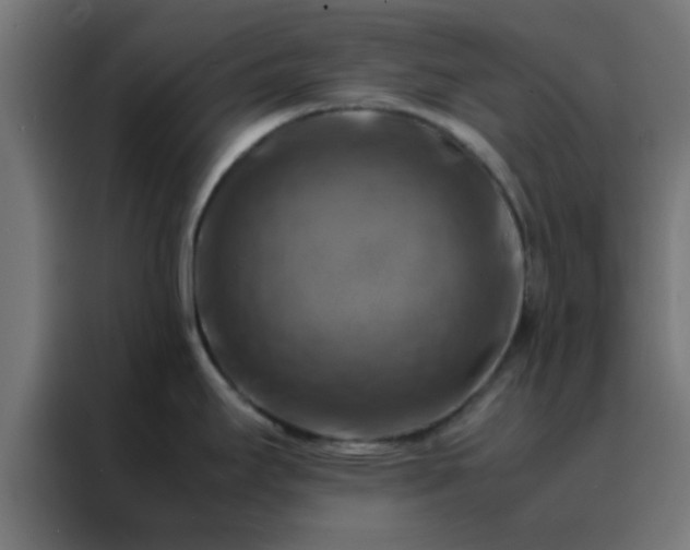 X0000088191295200705221655