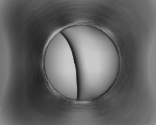 X0000088191296200705221655