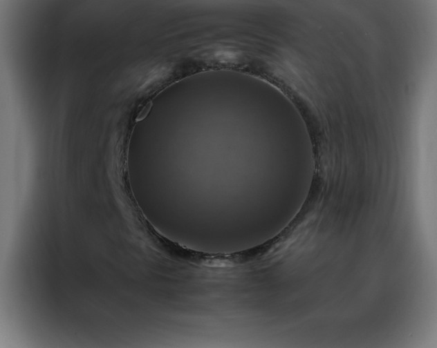 X0000088191297200705221654