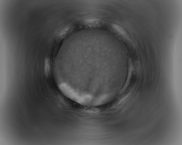 X0000088191298200705221654