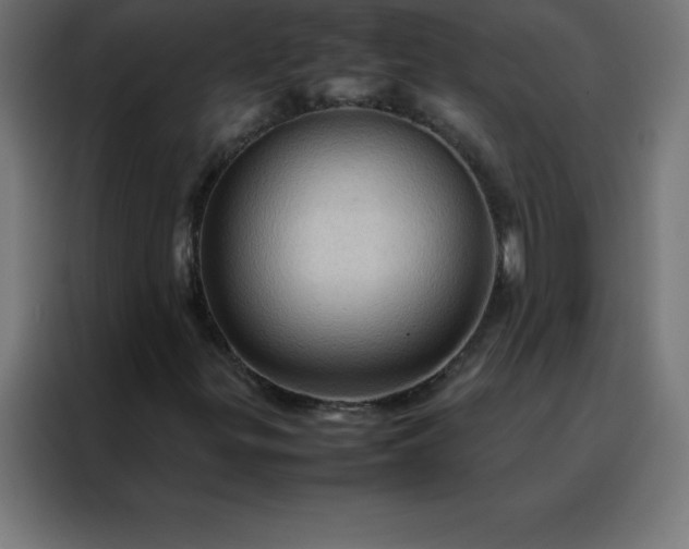 X0000088191299200705221654